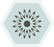 Linnaeus Laboratory Gisborne